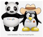 google panda.jpg